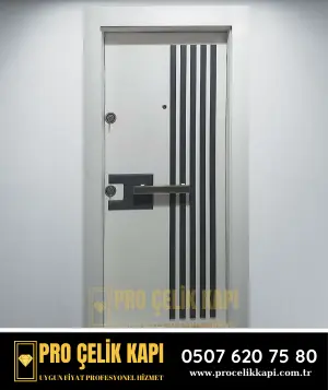 Şişli Çelik Kapı - Plus 3